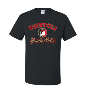 Youth Noles Cheer - Next Level Black Tee Shirt
