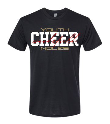 Youth Noles Cheer - Next Level Black Tri-Blend Tee