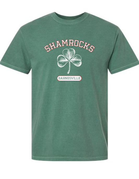 Barnesville Swim - Comfort Colors Vintage Kelly Garment-Dyed Heavyweight Tee