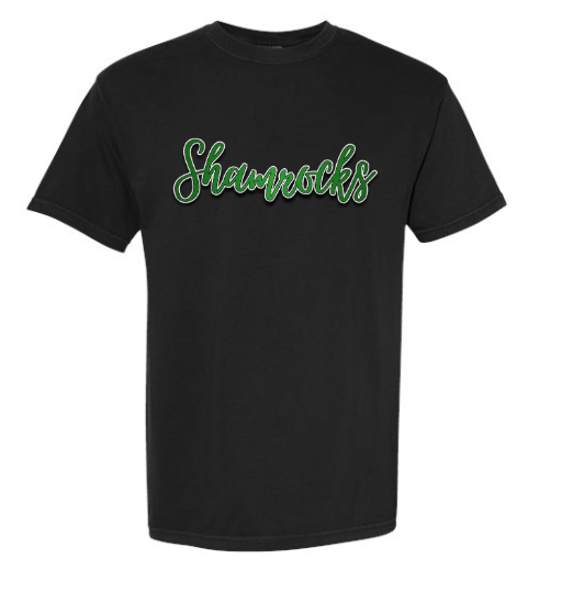 Barnesville PTA - Comfort Colors Black Garment-Dyed Heavyweight T-Shirt - Metallic Puff & Glitter