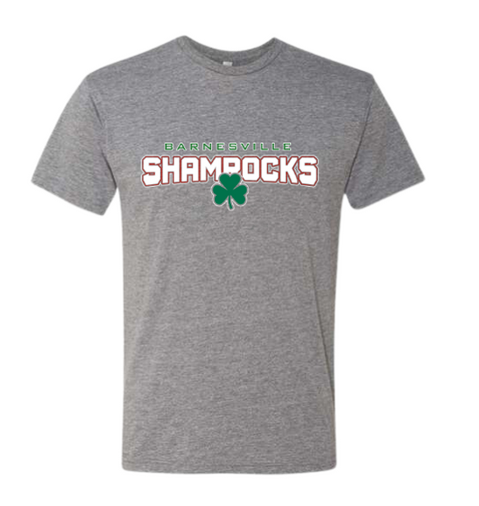 Barnesville PTA - Next Level Grey CVC (Blend) Tee