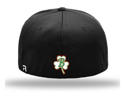 Hilltoppers - Hat - Richardson PTS20 - 3D Embroidered